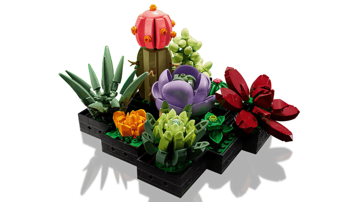 LEGO Botanicals Succulents (10309)