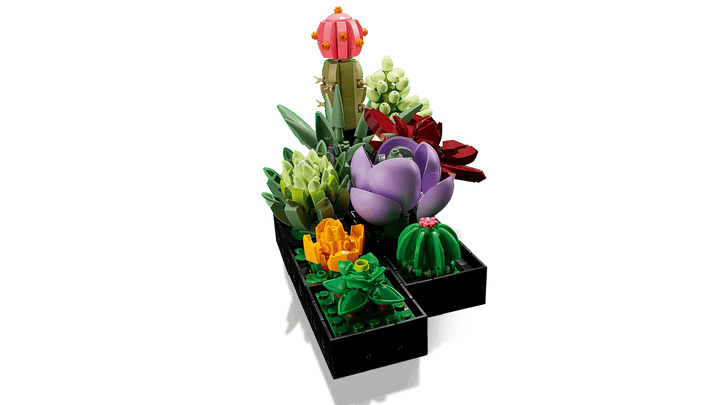 LEGO Botanicals Succulents (10309)