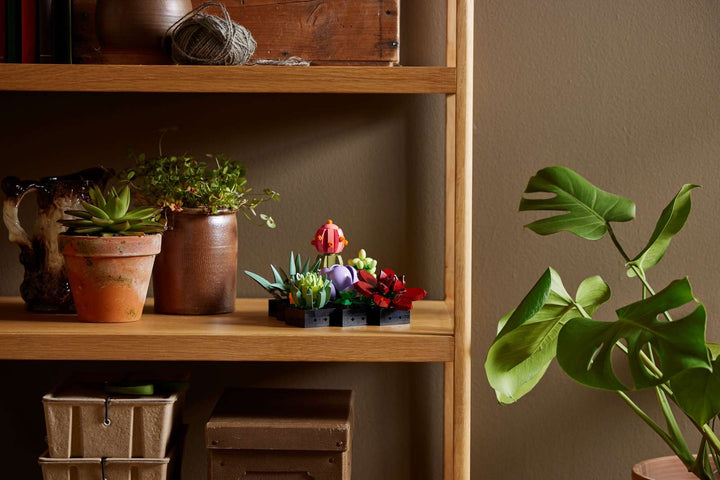 LEGO Botanicals Succulents (10309)