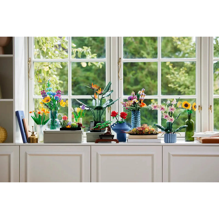Window sill with various potted plants and flowers in a bright room.