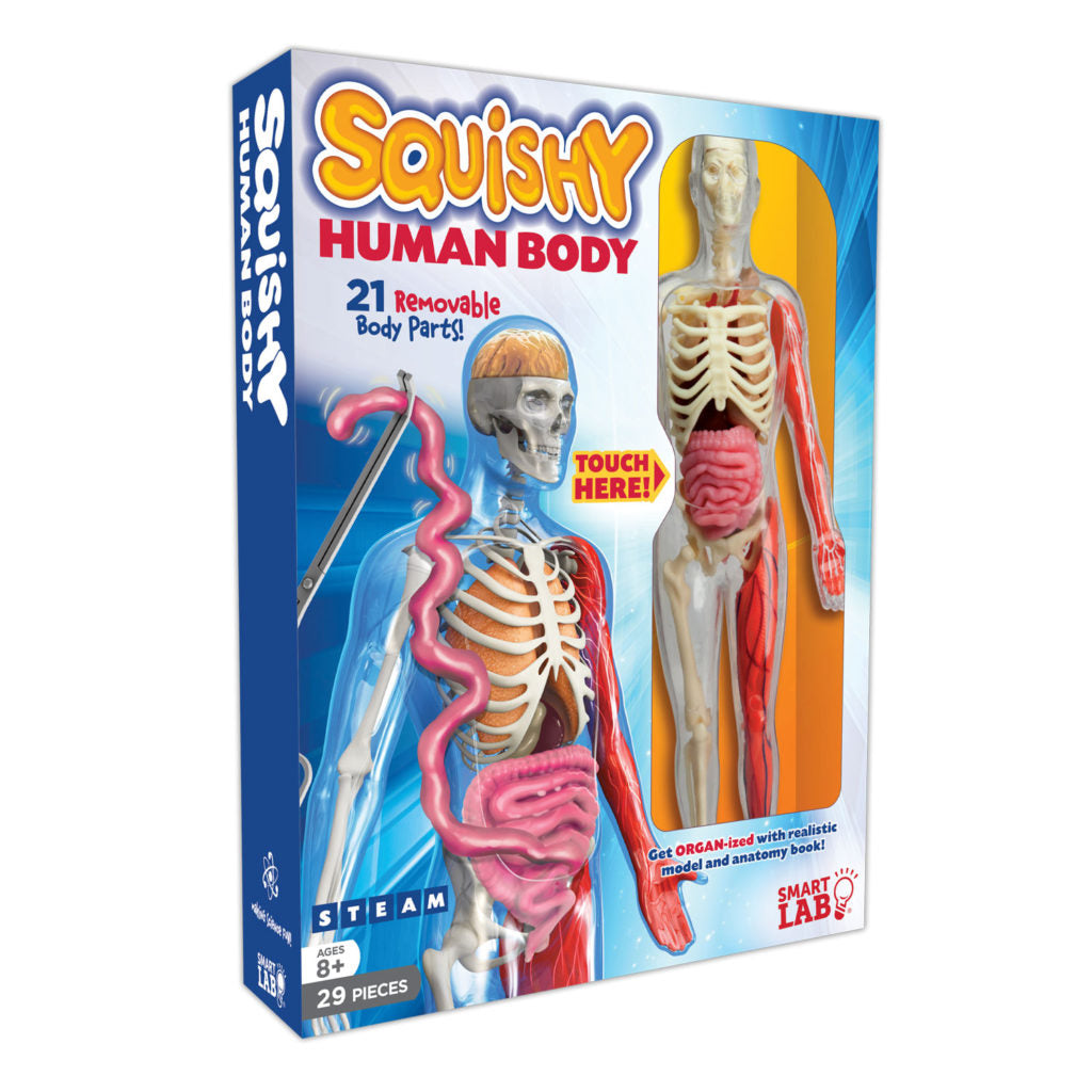 Squishy Human Body by Smart Lab