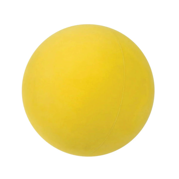 Toysmith Get Outside GO! Spring Ring