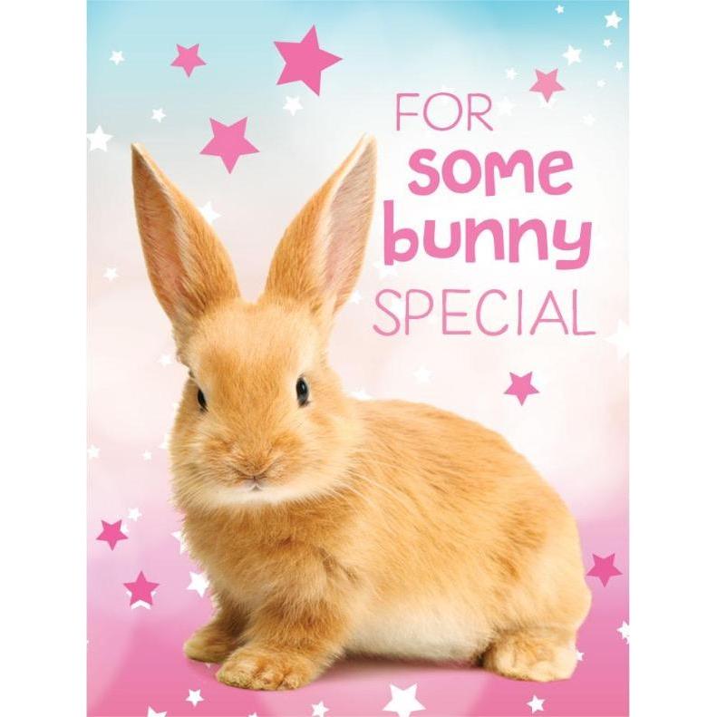 Mini Gift Enclosures by Paper House Productions