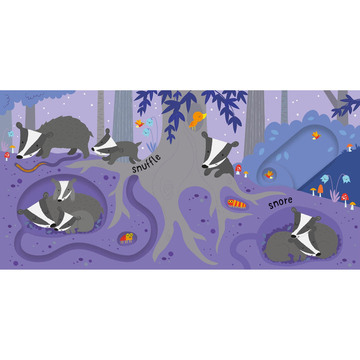 Usborne Slide and See: Nighttime