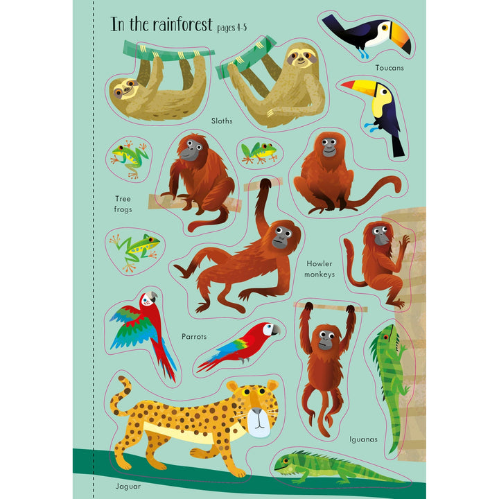 Usborne Animals Activity Pack