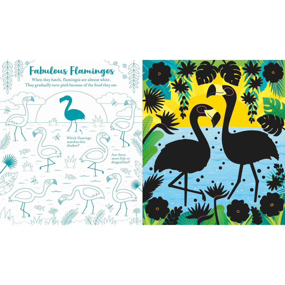 Usborne Scratch Activities: Animals