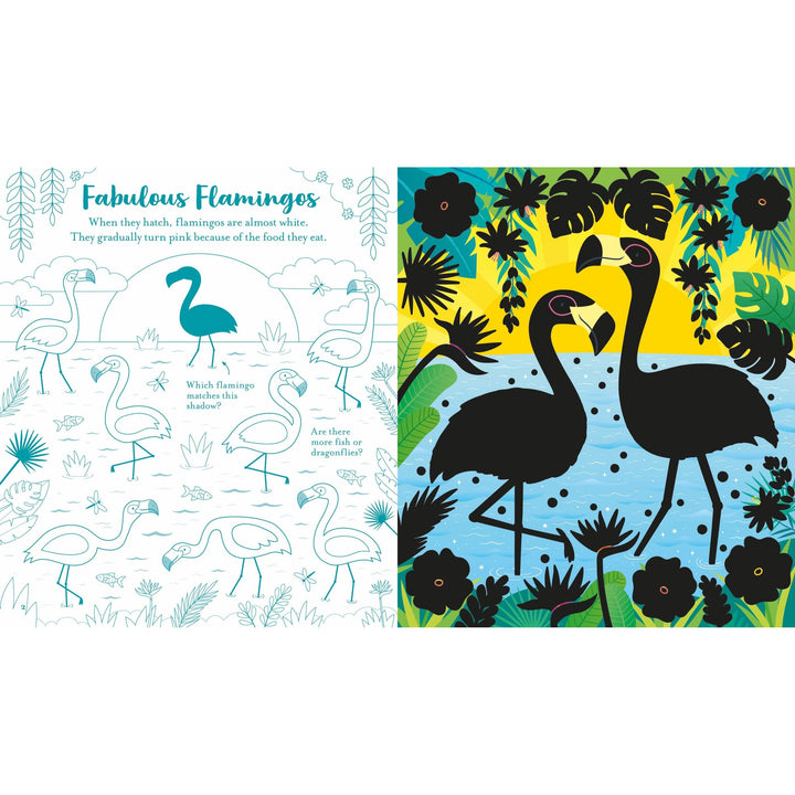 Usborne Scratch Activities: Animals