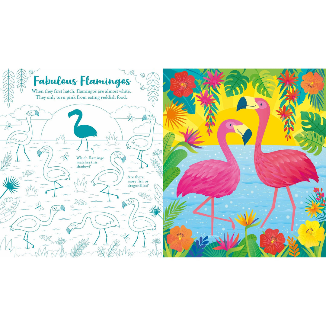 Usborne Scratch Activities: Animals