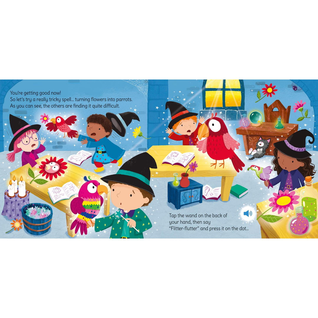 Wand Books: Wizard Magic by Sam Taplin