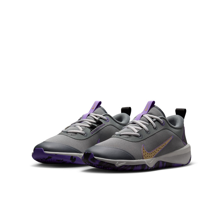 Nike Omni Multi-Court (Big Kid)