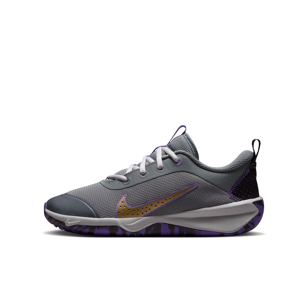 Nike Omni Multi-Court (Big Kid)
