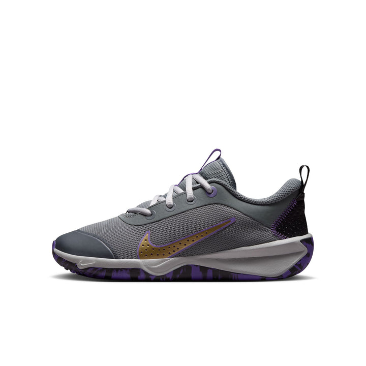 Nike Omni Multi-Court (Big Kid)