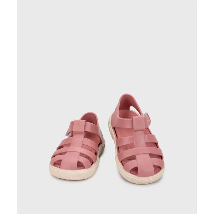 Igor Bay Jellies (Toddler)