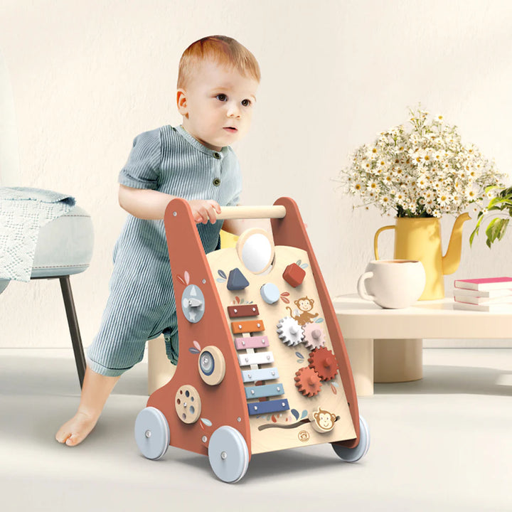 Multi-Activity Wooden Walker (with Brake System)