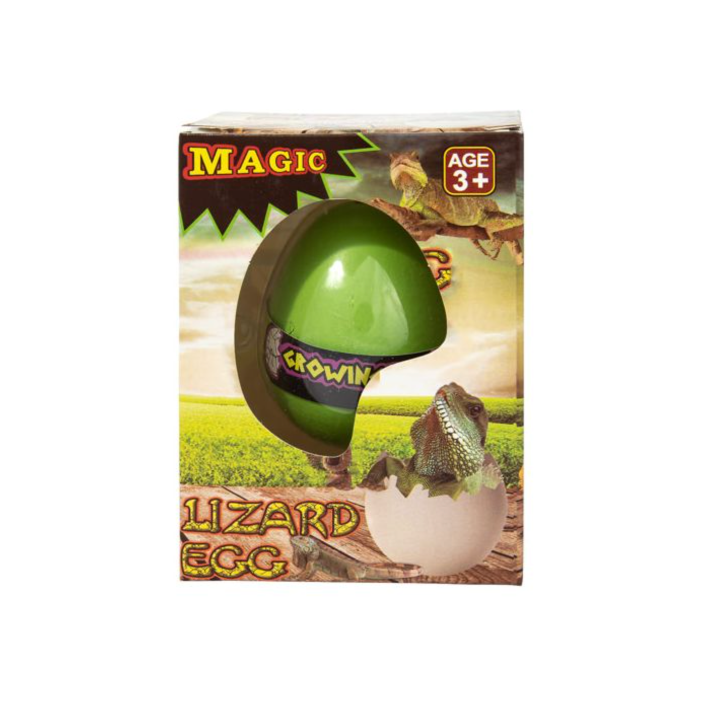 Magic Growing Lizard Egg