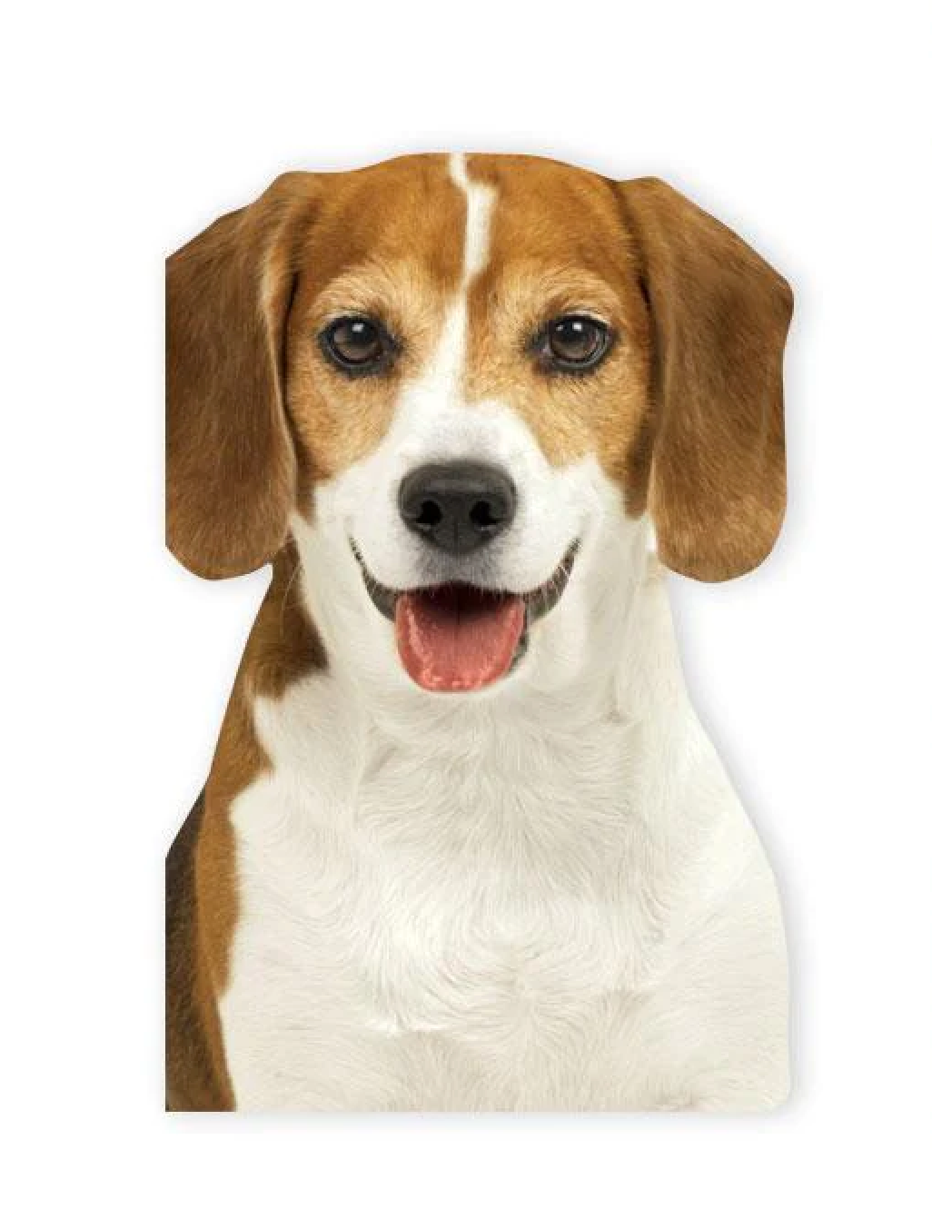 Mini Notebook - Beagle