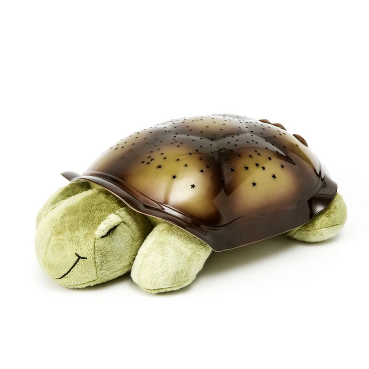 Twilight Turtle