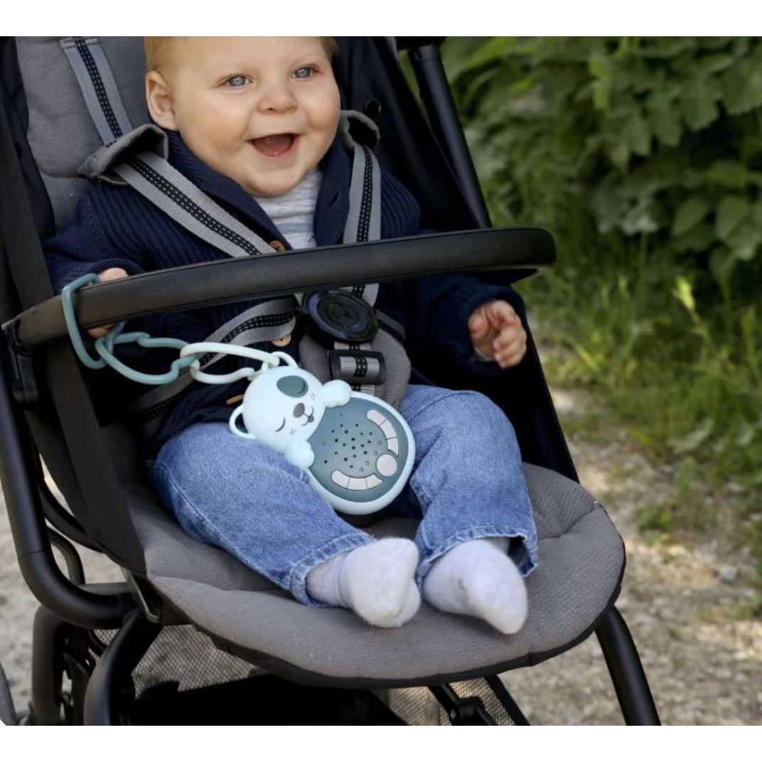 Sweet Dreamz On the Go