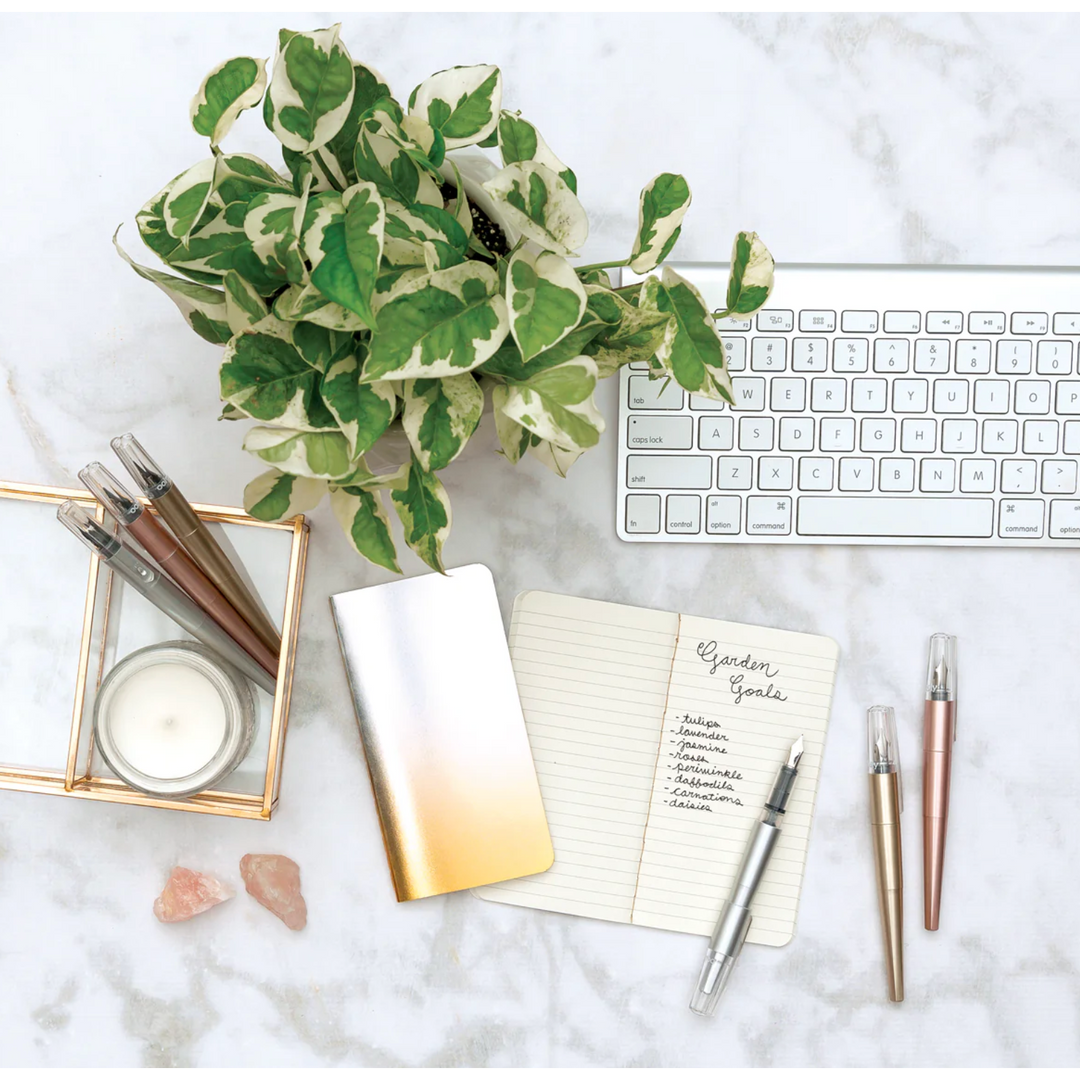 Modern Script Fountain Pens and Journal