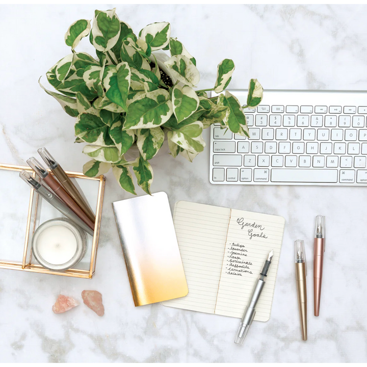 Modern Script Fountain Pens and Journal