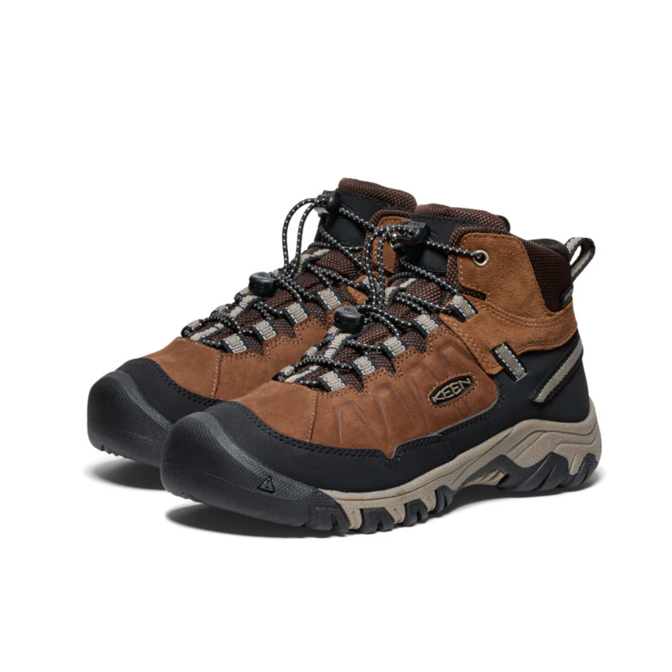 Targhee IV Waterproof Hiking Boot