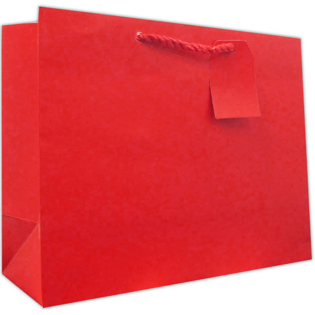 Solid Large Gift Bag