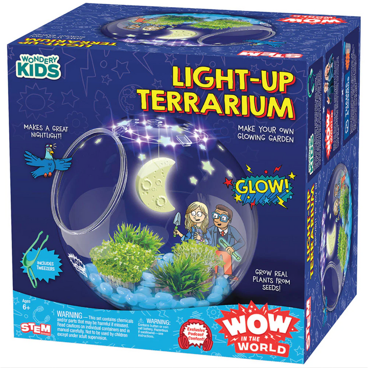 Light - Up Terrarium