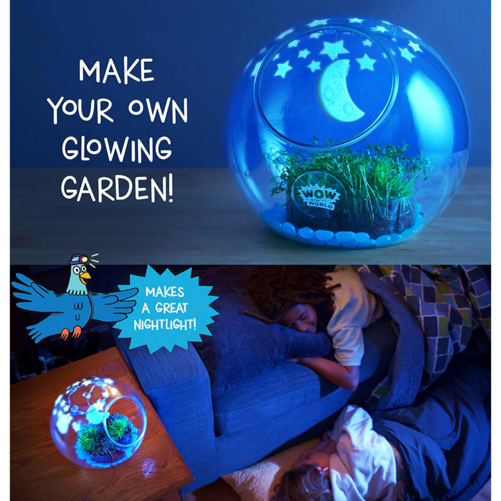 Light - Up Terrarium