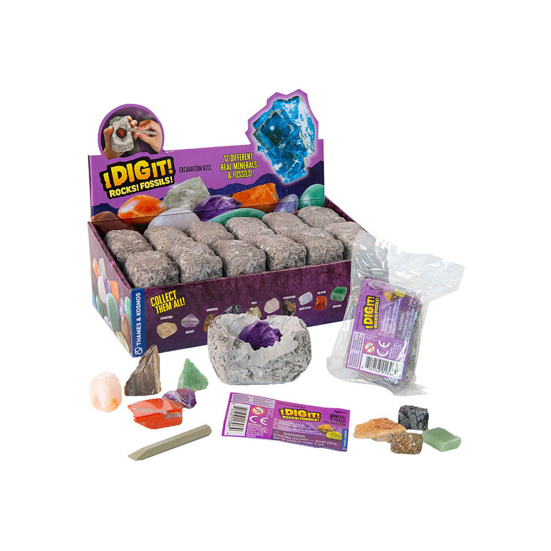 Thames and Kosmos I Dig It! Rocks & Fossils Mini Excavation-ONE per order
