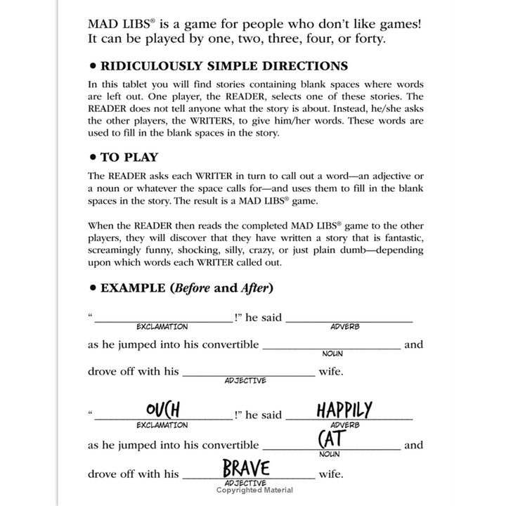 Camp Daze Mad Libs