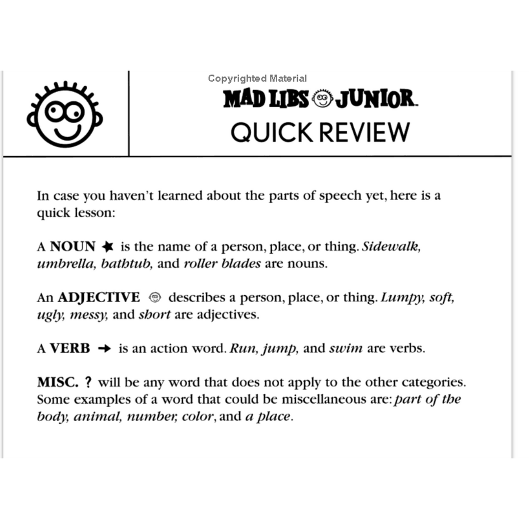 Summer Fun Mad Libs Junior