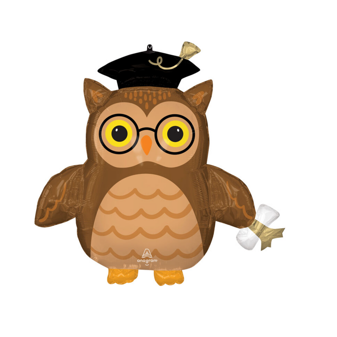 30" Graduate Wise Owl