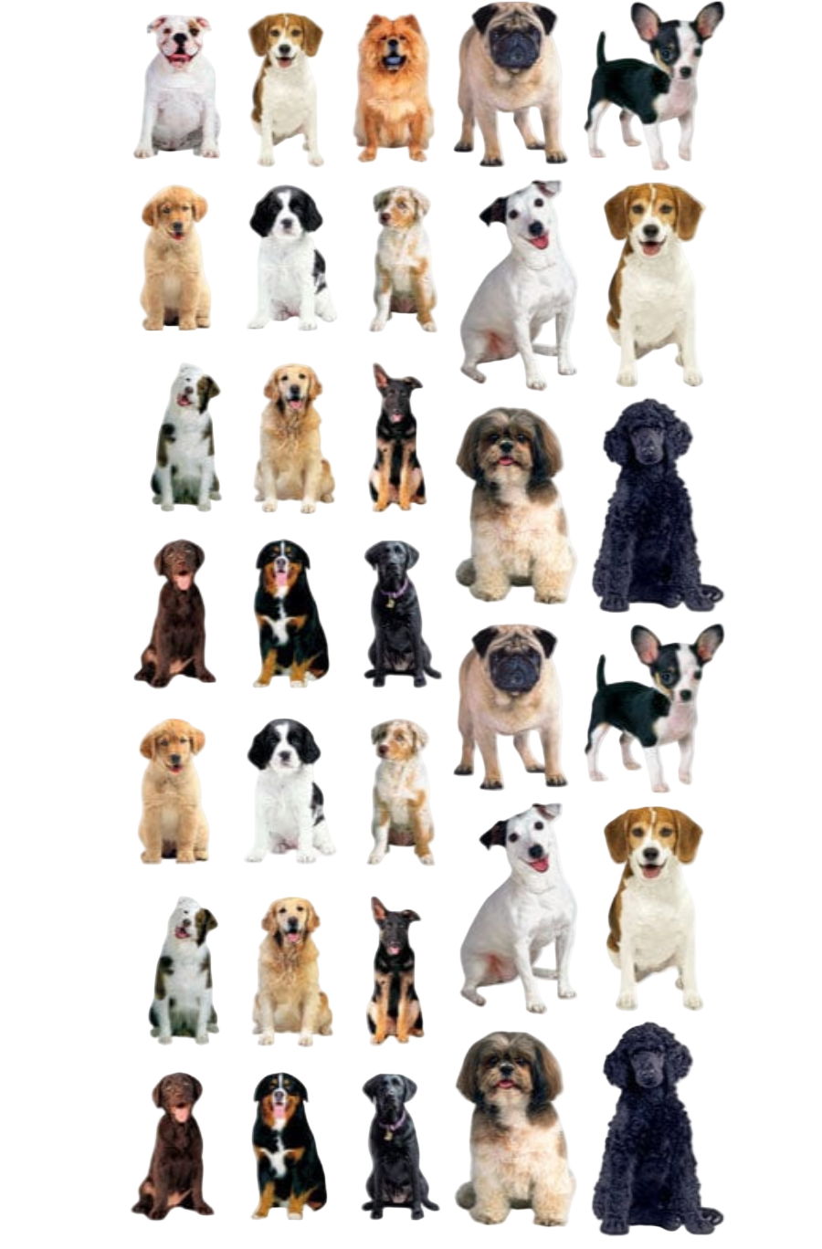 Dog stickers