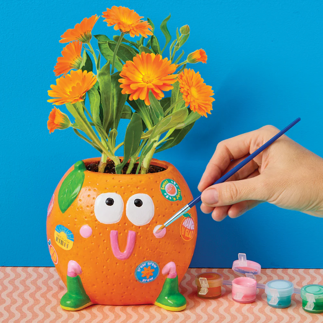 Paint & Grow Ceramic Planter with Seeds