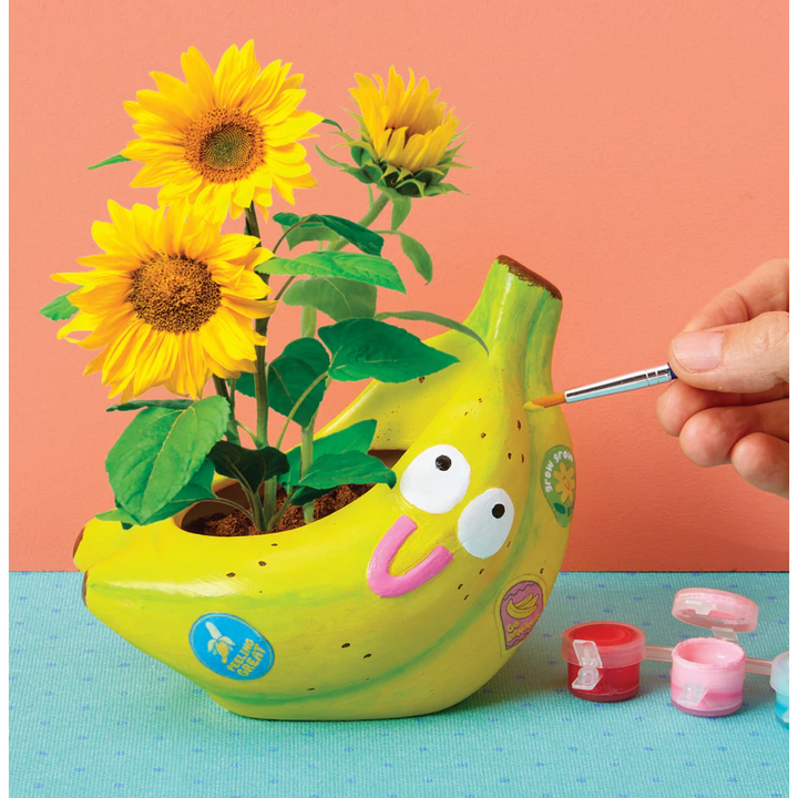 Paint & Grow Ceramic Planter with Seeds