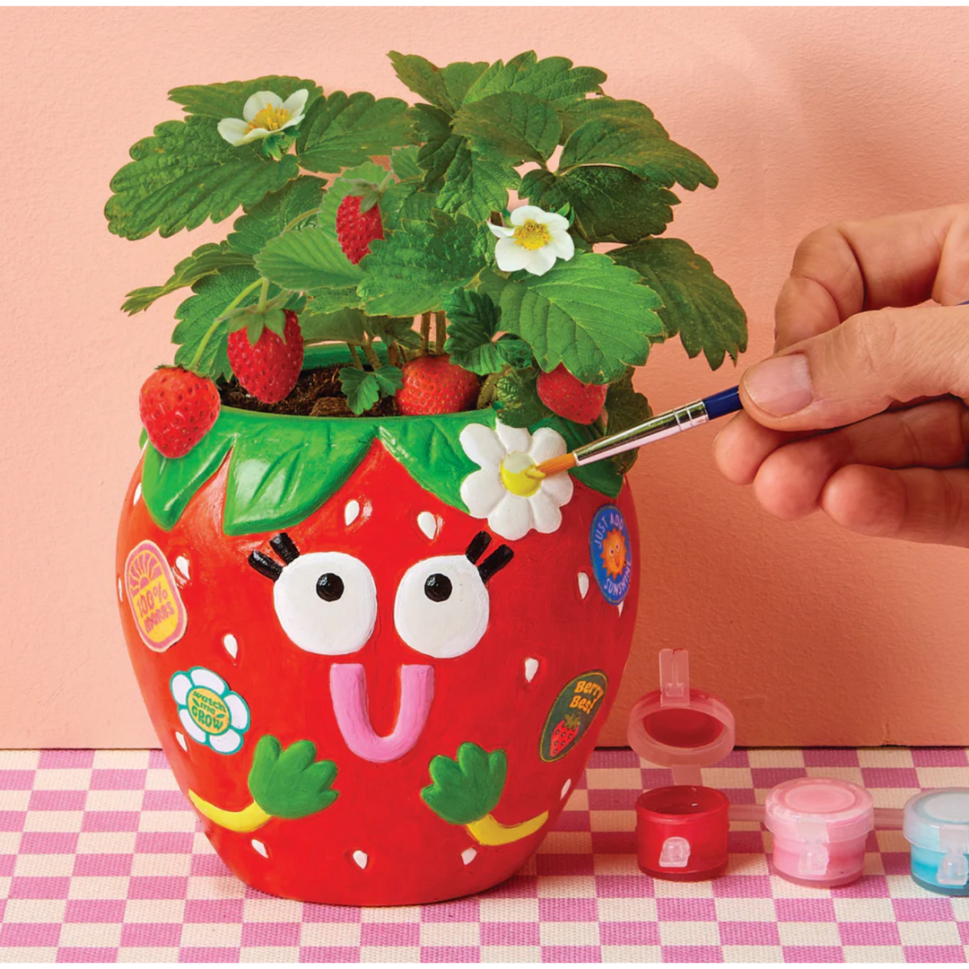Paint & Grow Ceramic Planter with Seeds