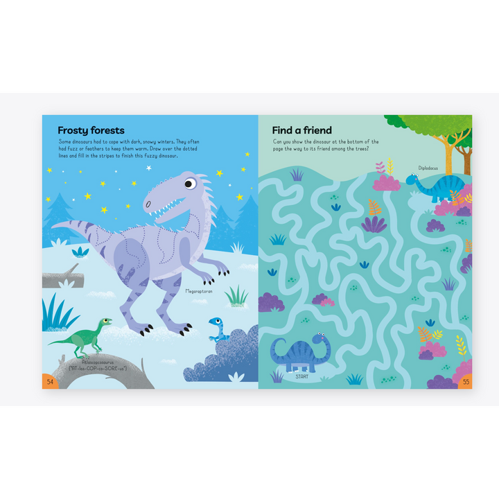 Usborne Dinosaur Activity Book