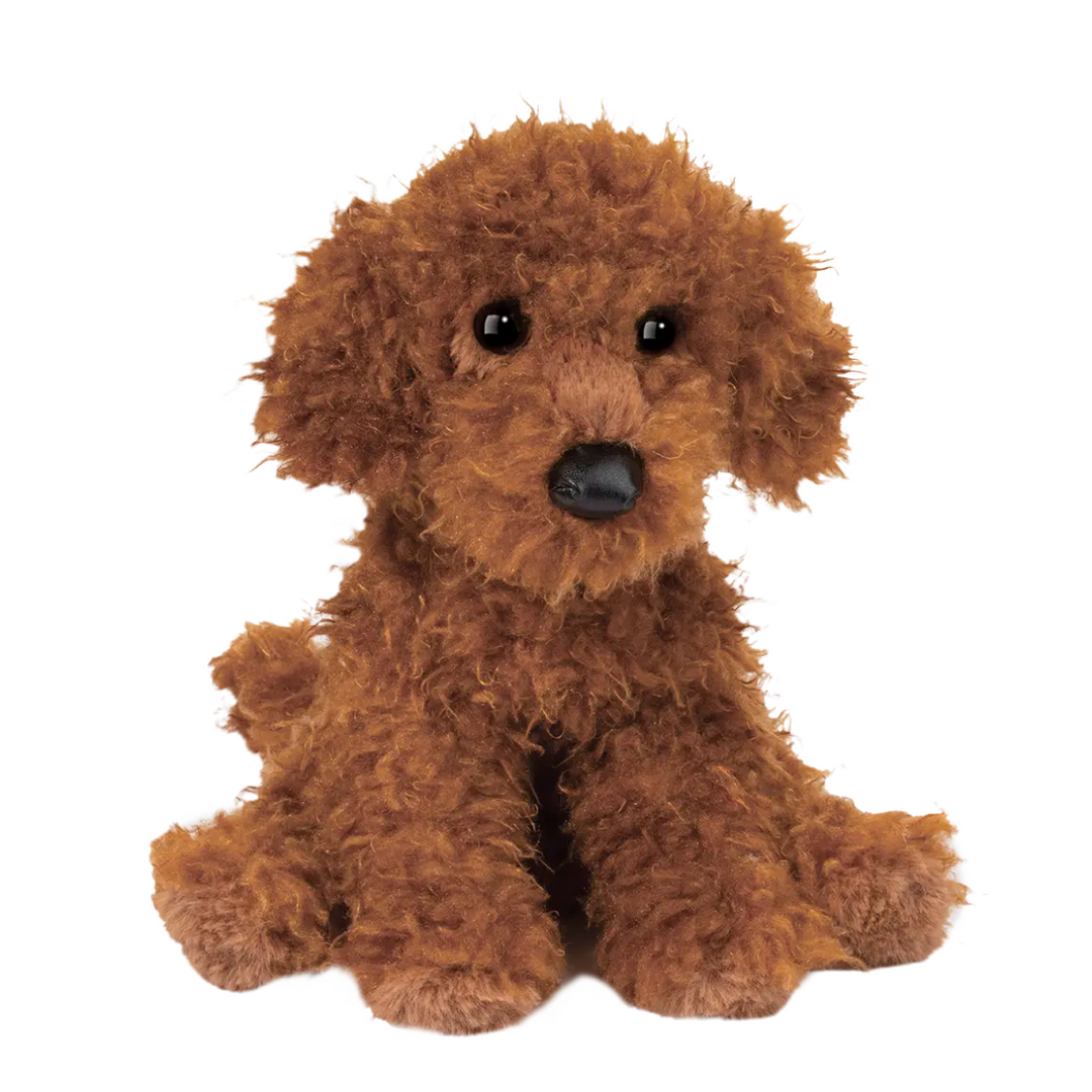 Ginger Miniature Poodle