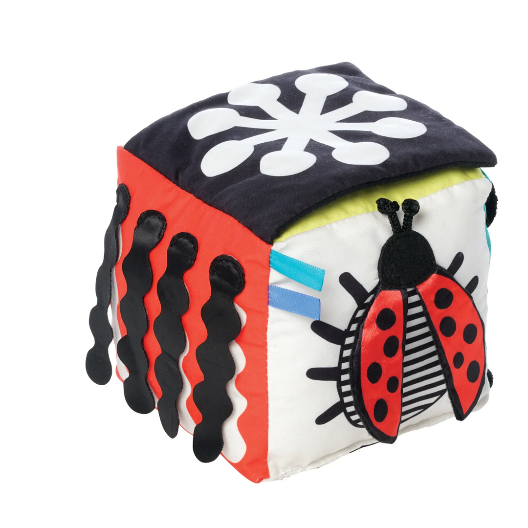WIMMER DISCOVERY CUBE