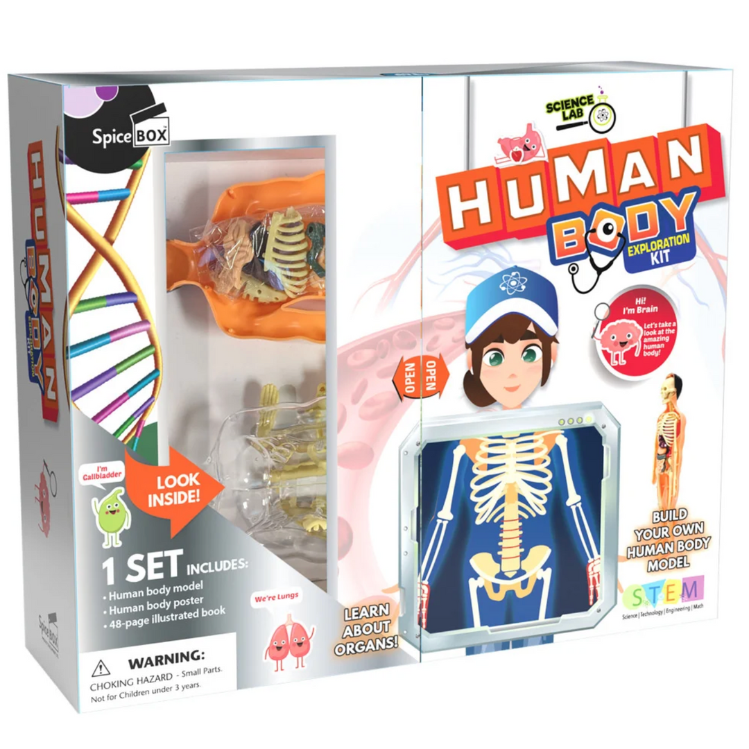Human Body Exporation Kit