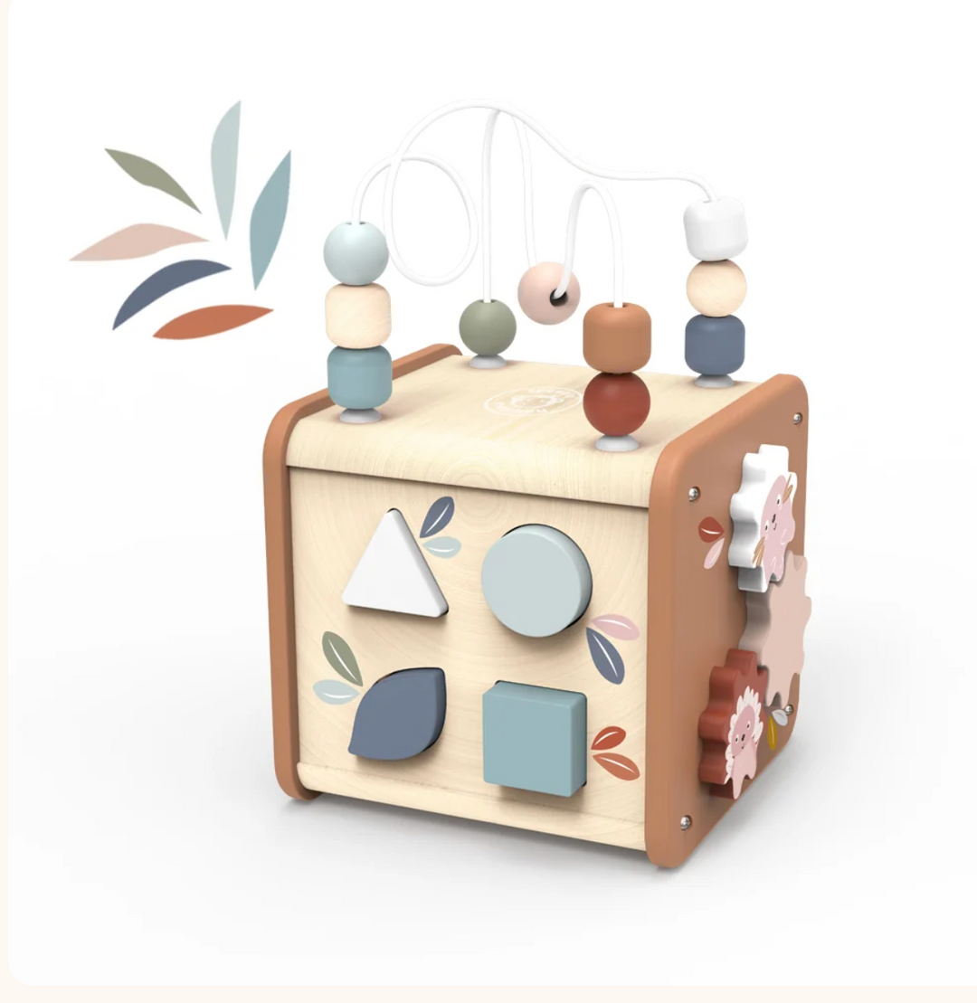 Speedy Monkey 5-in-1 Activity Cube