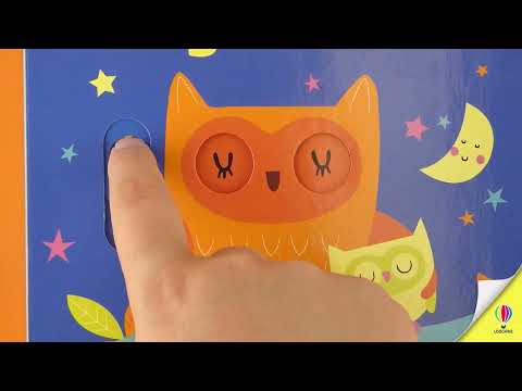 Usborne Slide and See: Nighttime