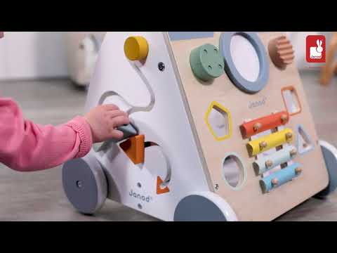 SWEET COCOON MULTI ACTIVITY BABY WALKER