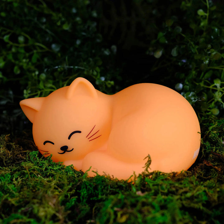 World of Mushi Cat night light manufacturer photo 2