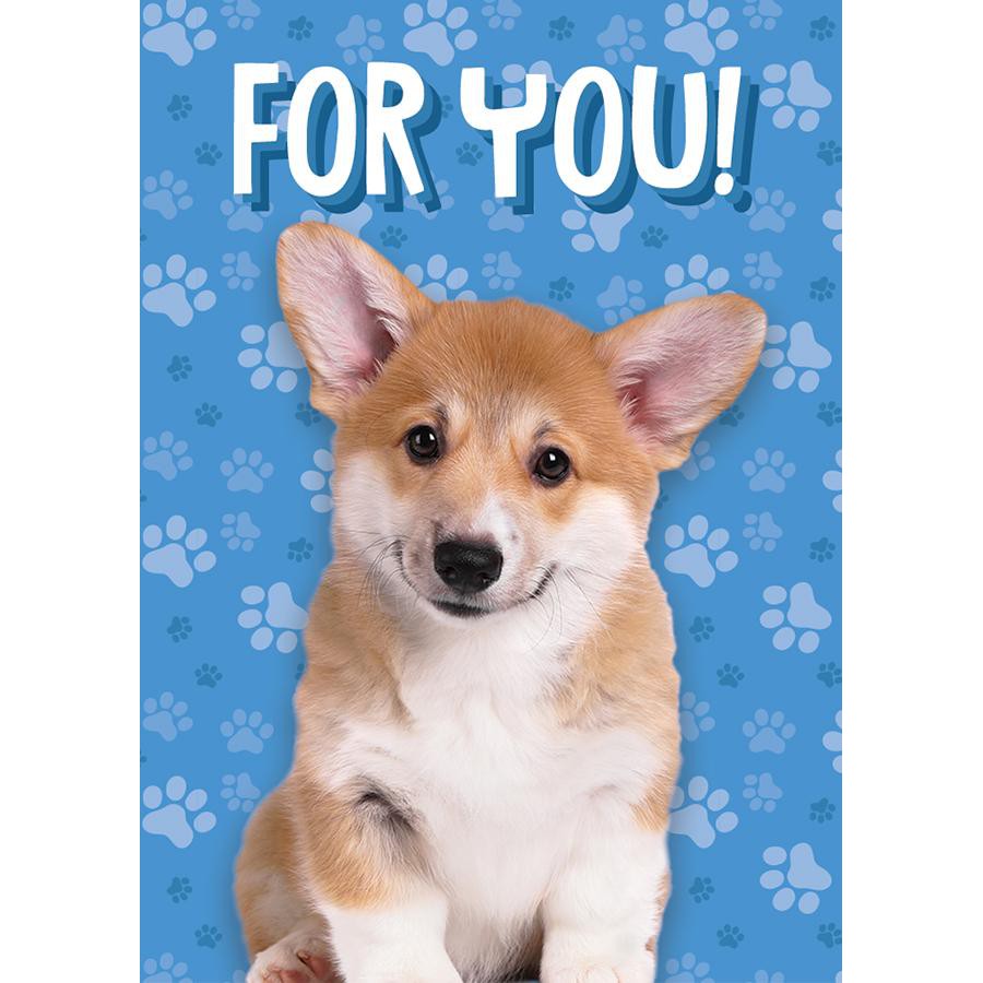 Puppy Gift Enclosure