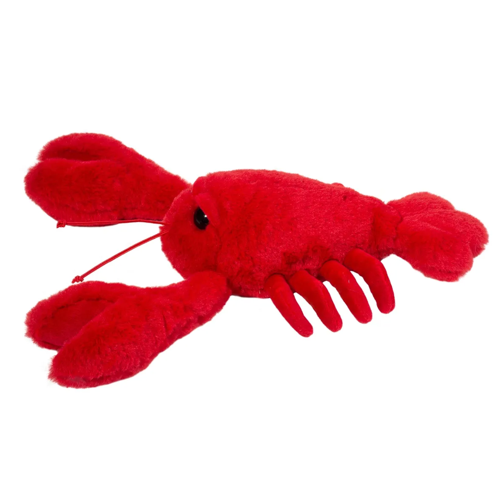 Douglas Clawson Lobster