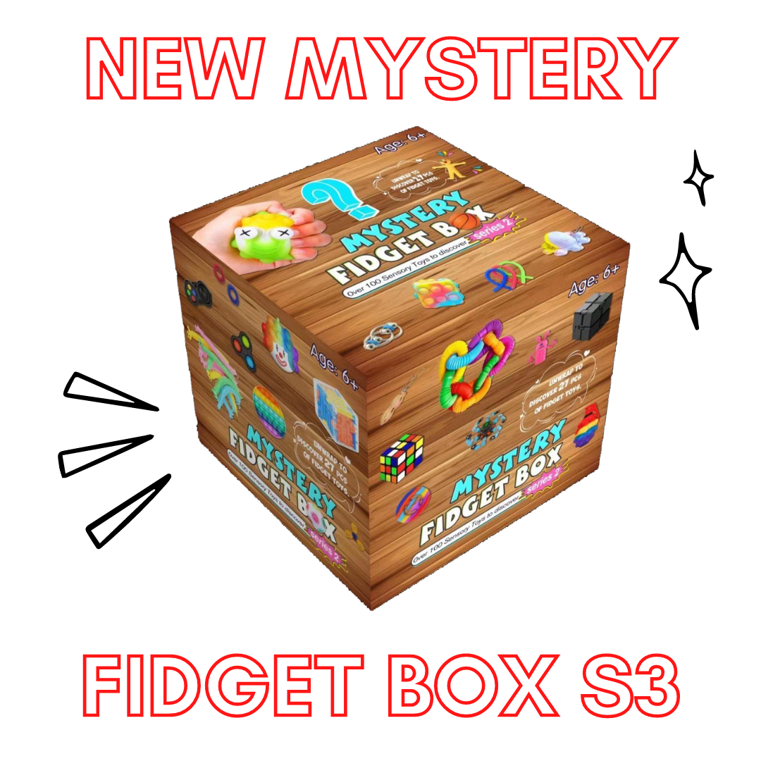 Mystery Fidget Box Series 3 – Wild Kids